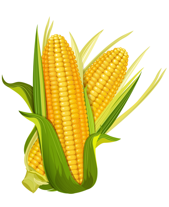 Corn Club